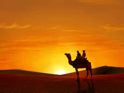 OTA竞相布局线下门店 传统旅行社转型升级裹