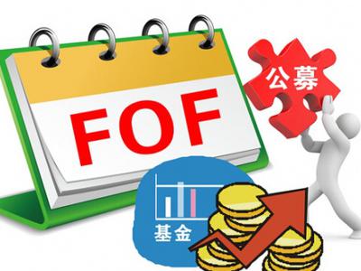 首批公募FOF稳健特色初显 “双头鹰”模式出现