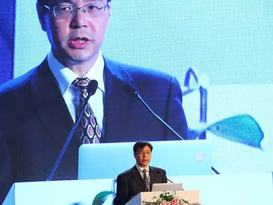 中国证券投资基金业协会副会长张小艾