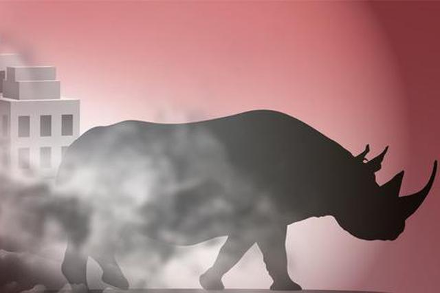 我们对抗“灰犀牛”最大的底气是什么？