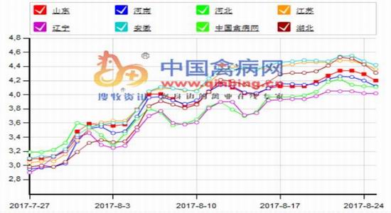 华联期货:市场氛围乐观 鸡蛋反弹上涨|华联期货