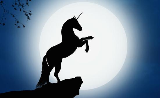 全球超过八成的“独角兽”公司诞生在中美两国|中美|独角兽|互联网_新浪财经_新浪网