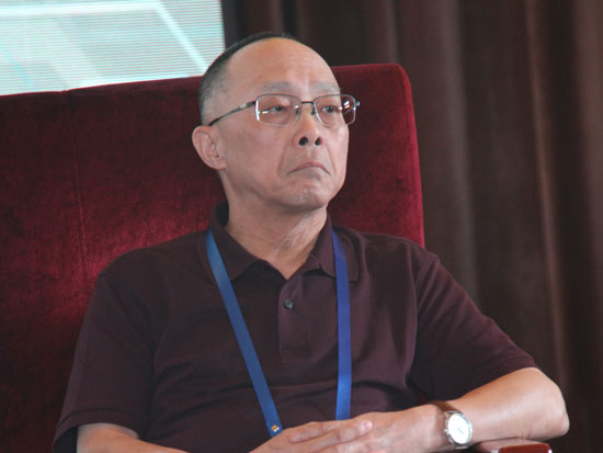 中国有色金融工业协会镁业分会会长徐晋湘|20