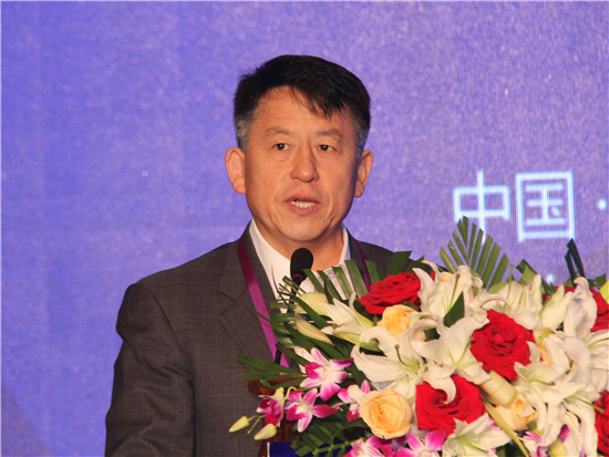 中国融资租赁企业协会副会长兼秘书长王佳林
