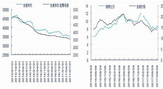广金期货玉米淀粉