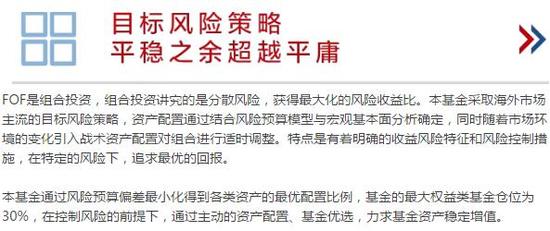 财务支出收入表格模板_财务顾问收入(3)