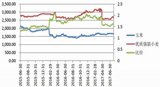 通惠期货:玉米市场筑底行情渐显|通惠期货|玉米