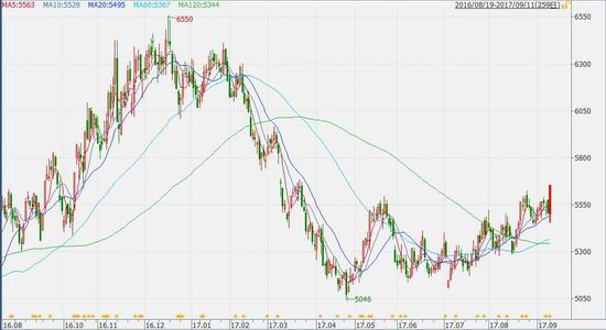 国都期货:短期内做多棕榈油 中期走势震荡偏强