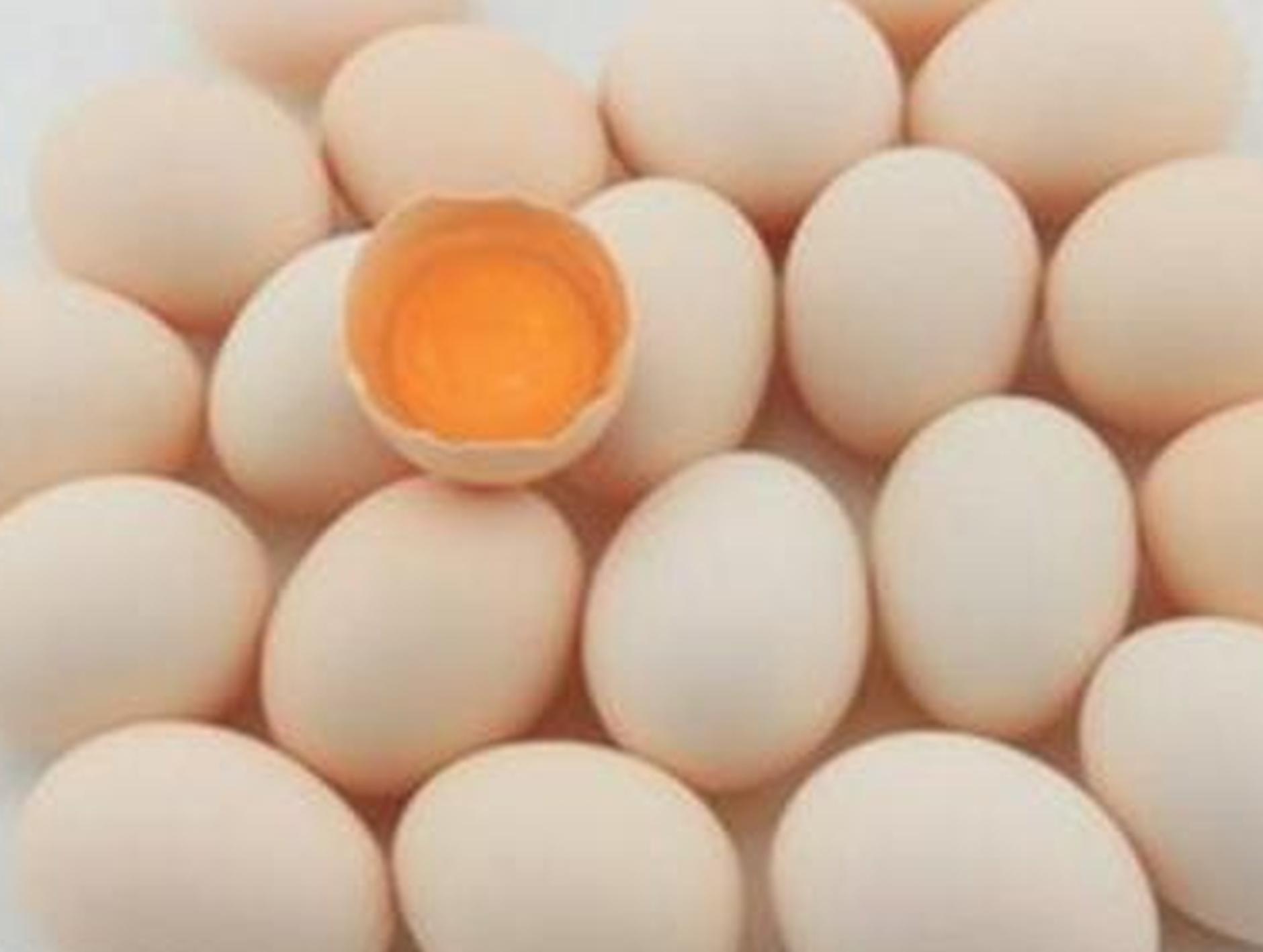 鸡蛋价格月内下降23.43% 下月起行业产能. 来