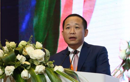 大丰实业董事长_大丰荷兰花海