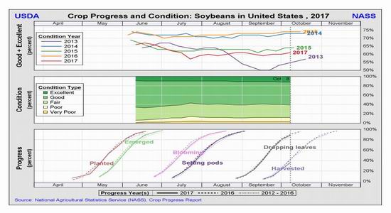 海通期货:豆粕基本面分析及策略|海通期货|豆粕