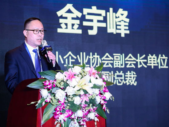 中国中小企业协会副会长单位、泰然集团副总裁金宇峰
