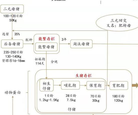 「差几天满21能进赌场么」韩统一部批准107人访朝出席金刚山旅游纪念活动