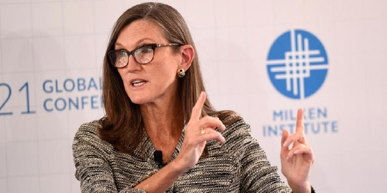 福特和通用跑赢特斯拉 “木头姐”高呼太荒谬