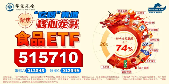 万亿级大招来袭,大消费升温,食品ETF(515710)放量涨2.45%!国家数据局揭牌,信创嗨了!