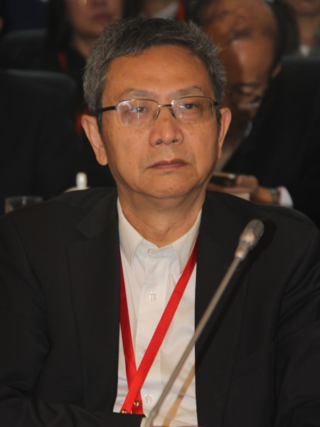 全国政协委员，中国政法大学资本金融研究院教授贾康