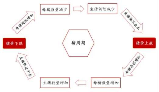 畜牧养殖ETF（516670）中阳反包，“猪周期”反转预期升温？