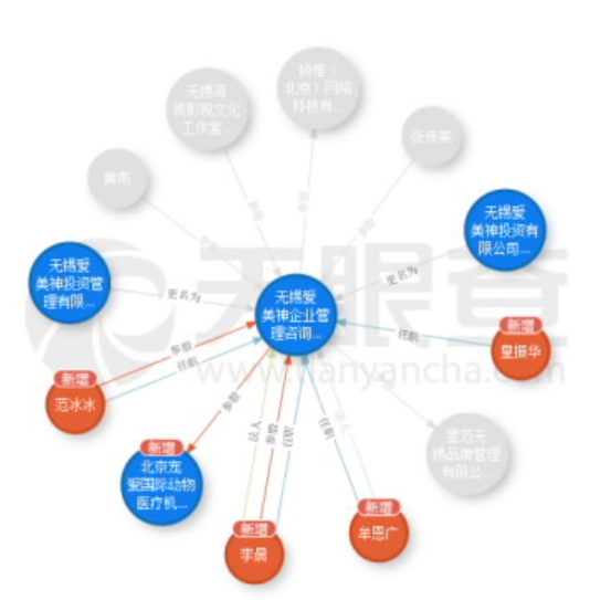 （2015年11月爱美神企业管理咨询有限公司股权图）