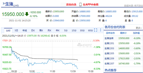 生猪期货涨6%能赚多少钱怎样计算 54dd-60d4c19ddccb1d6ae882845662951475.png