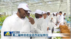 远洋集团亮相第二届中非农业合作论坛 中外嘉宾考察国家级田园综合体