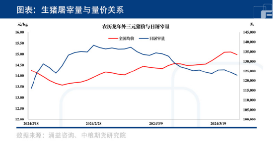 博弈继续，生猪价格如何演绎