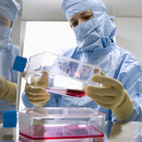 更多中国父母赴海外生二胎,东南亚形成新生殖