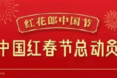 春晚与红花郎十年后“再续缘”，以经典致敬经典