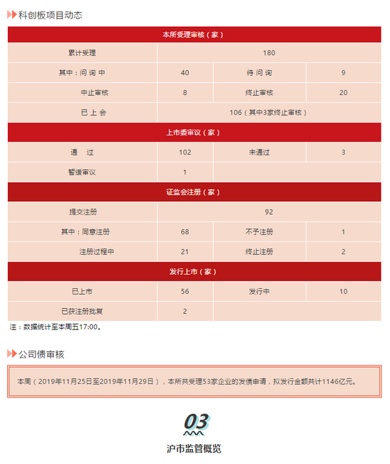 「盘探网代理」女子游泳遭鲨鱼啃咬,手臂留下数十个“牙印”