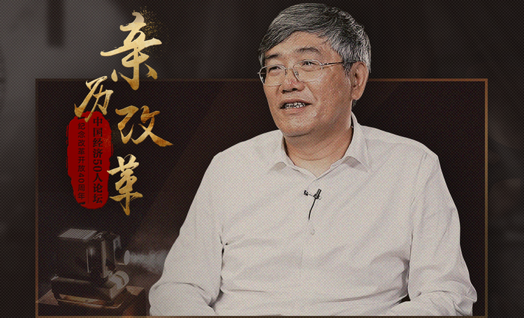 杨伟民直面改革难题