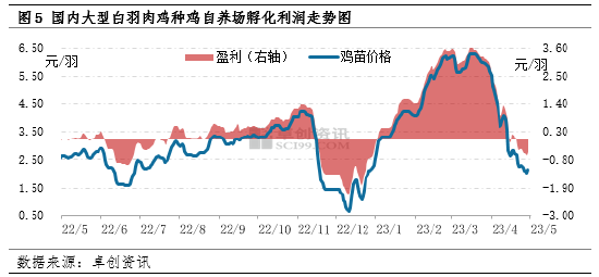 卓创资讯白羽肉鸡调研：5-7月国内白羽肉鸡市场价格或将延续下跌走势