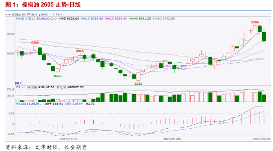 抖音助力:揭秘短视频平台如何引爆流量?