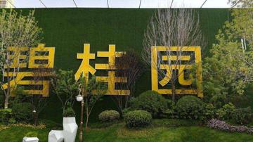 碧桂园上市前如何排雷?