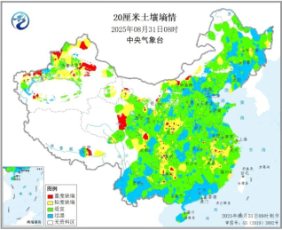 资料来源:东海期货整理