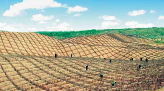 国防治荒漠化公约:土地退化带来23万亿美元损