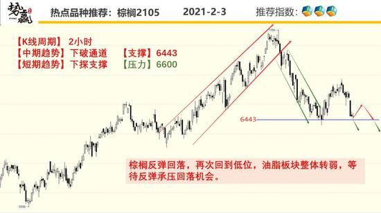 势赢交易2月4日热点品种技术分析