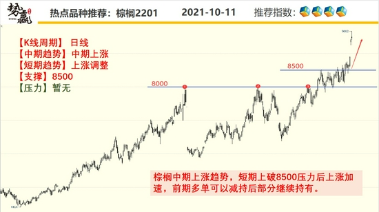 势赢交易10月12日热点品种技术分析