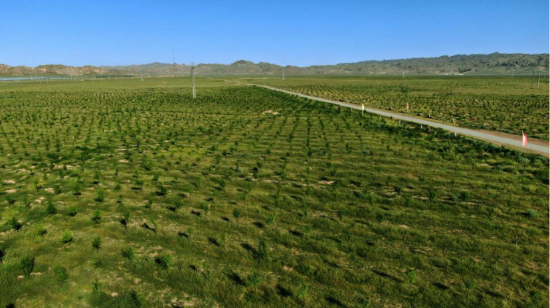 揭秘全国最大山水林田湖草沙修复工程：每年减少100万方沙流入黄河