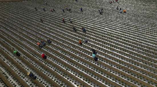 涨粉接单平台,如何轻松实现流量变现?