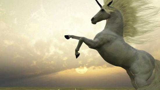 皮海洲:独角兽基金或含着金钥匙出生