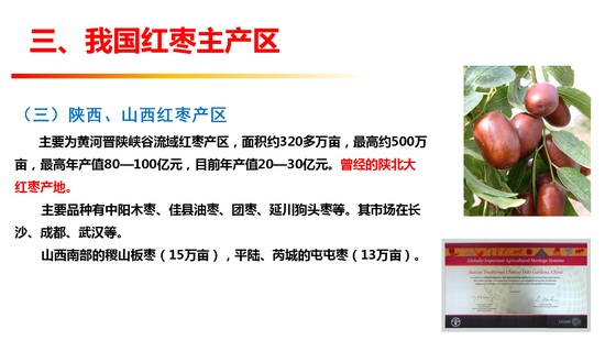 寶龍娱乐场能赢吗 塞尔维亚男子谎报飞机有炸弹 只是想跟空姐约会