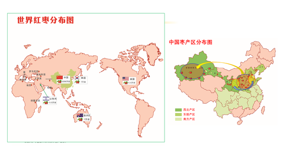 凤凰平台破解版 - 首发 | 将“树”搬入中式空间,高级灰点缀别样风情韵味