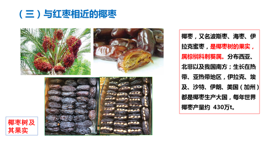 「亚美体育ios下载苹果」移动体感游戏:站在游戏与硬件产业共享的未来上