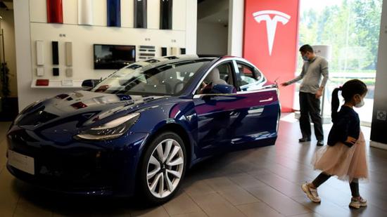 海豚vs特斯拉 0722-ivwfwmn8163729.jpg