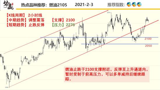 势赢交易2月4日热点品种技术分析