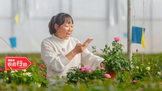 一年研发烧掉100亿，拼多多猛投农业