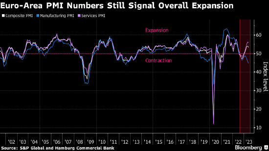 欧元区制造业陷入困境 但服务业指标仍指向强劲增长