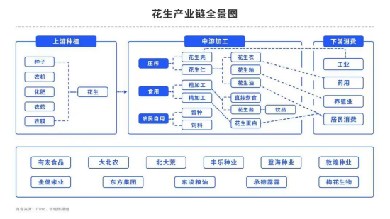 现货价格坚挺，供需格局稳定，花生又将何去何从？,第5张