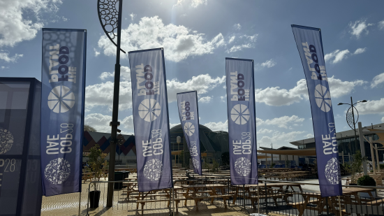 联合国气候变化大会今日开幕,新浪财经现场直击