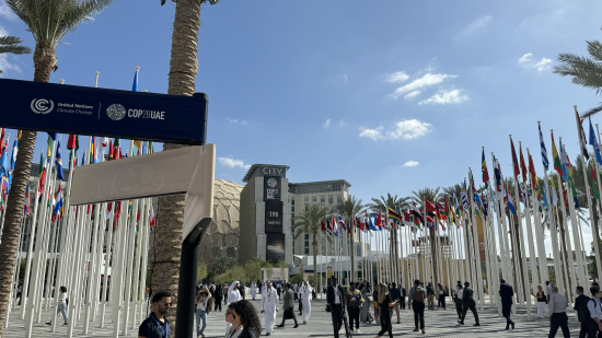 联合国气候变化大会今日开幕,新浪财经现场直击