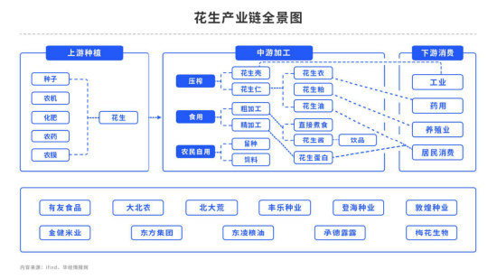 【秋季策略报告回顾与展望】花生：高山流水花落谁家花落谁家【秋季策略报告回顾与展望】花生：高山流水花落谁家,第7张